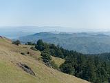 Mt Tamalpais 008